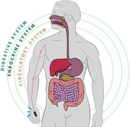 Sugar Control Acupressure Clip for Effective Management and Wellness